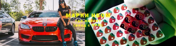 индика Лиски