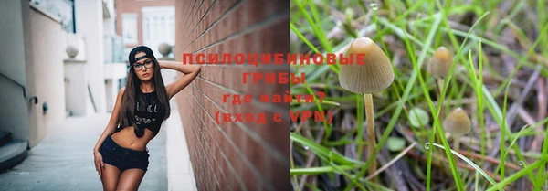индика Лиски