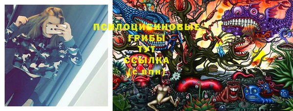 гидропоника Липки