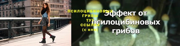 индика Лиски