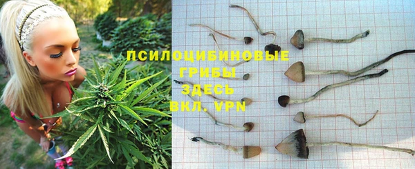 гидропоника Липки