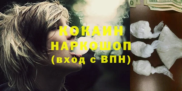 индика Лиски