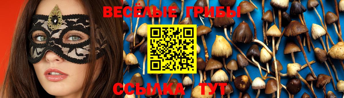 Галлюциногенные грибы ЛСД  Псилоцибиновые грибы мухоморы  Вход с VPN  наркошоп  Малгобек 