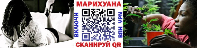 Каннабис планчик Малгобек